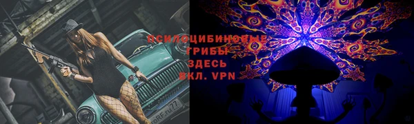 СК Зеленодольск
