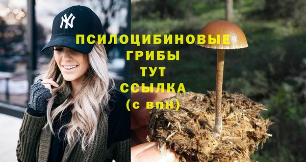 кокс Зерноград