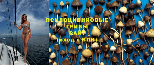 jwh Зеленокумск