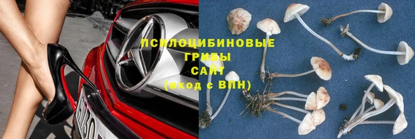 СК Зеленодольск