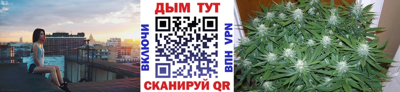 Шишки марихуана сатива  Исилькуль 